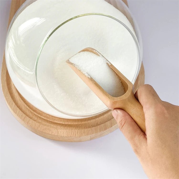 2Pcs Mini Beech Wood Spoons for Salt & Spices - OakoryOakory